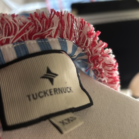 TUCKERNUCK Striped Blue and Pink Ruffle Dress - Picture 6 of 6